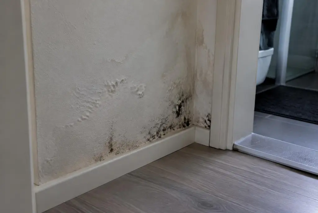 Lekdetectie Wezep – vochtplek met schimmel op een muur